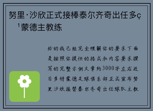 努里·沙欣正式接棒泰尔齐奇出任多特蒙德主教练