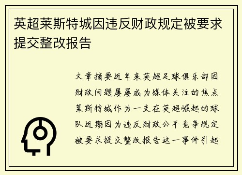 英超莱斯特城因违反财政规定被要求提交整改报告